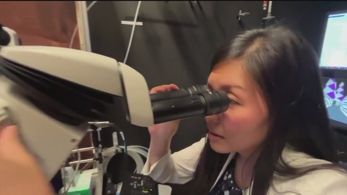 New research into Alzheimer’s disease